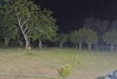 Vendo pequeño Campo más casa