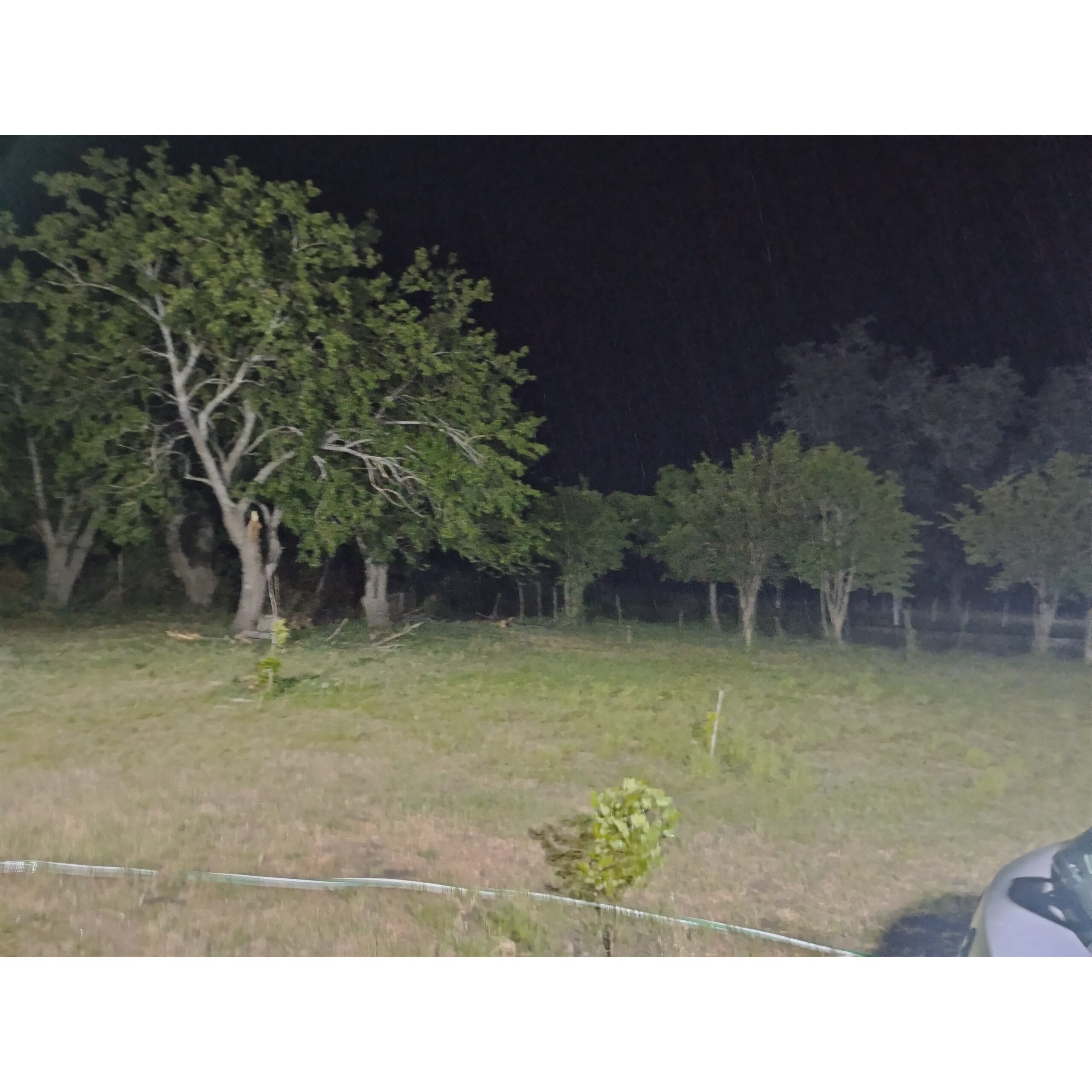 Vendo pequeño Campo más casa