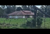 Vendo casco de estancia en Oriente