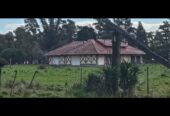 Vendo casco de estancia en Oriente