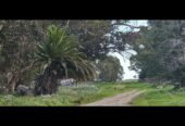 Vendo casco de estancia en Oriente