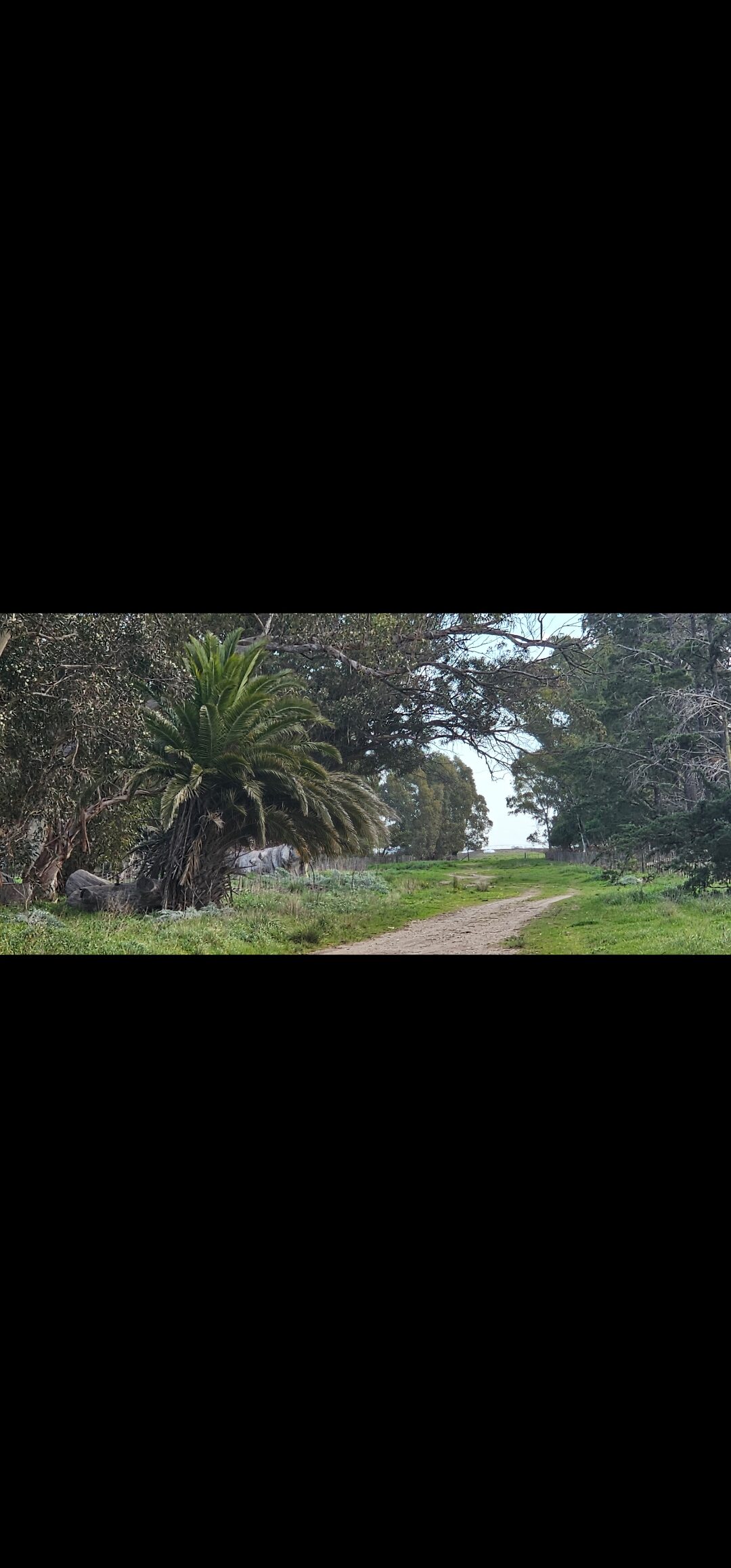 Vendo casco de estancia en Oriente
