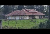 Vendo casco de estancia en Oriente