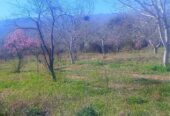 ​🏡 ¡EN VENTA! Chacra productiva en San Blas de los Sauces (La Rioja) 🍇🌿