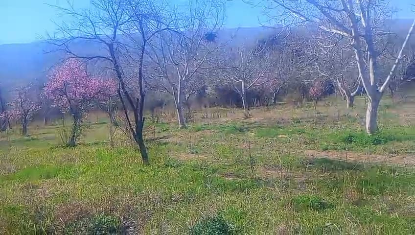 ​🏡 ¡EN VENTA! Chacra productiva en San Blas de los Sauces (La Rioja) 🍇🌿