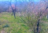 ​🏡 ¡EN VENTA! Chacra productiva en San Blas de los Sauces (La Rioja) 🍇🌿