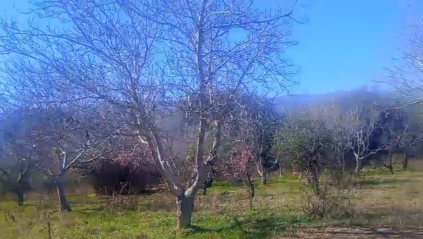 ​🏡 ¡EN VENTA! Chacra productiva en San Blas de los Sauces (La Rioja) 🍇🌿