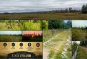 Campo en Venta 28 Hectareas Ideal Proyecto S. Rafael MZA