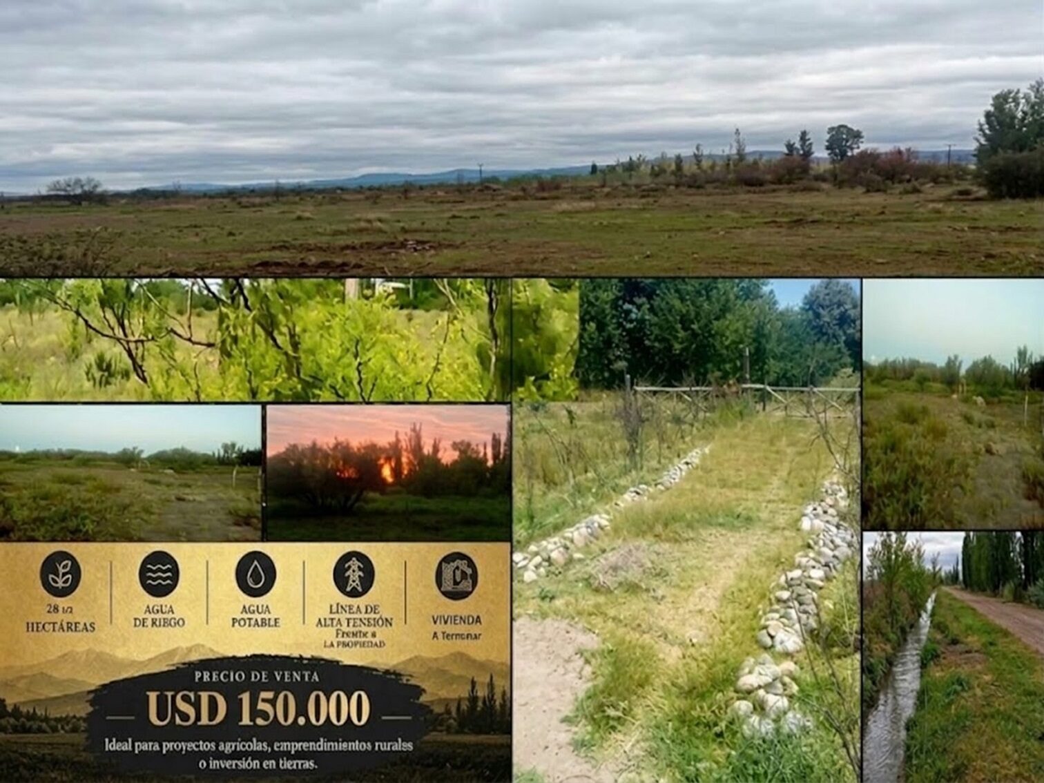 Campo en Venta 28 Hectareas Ideal Proyecto S. Rafael MZA