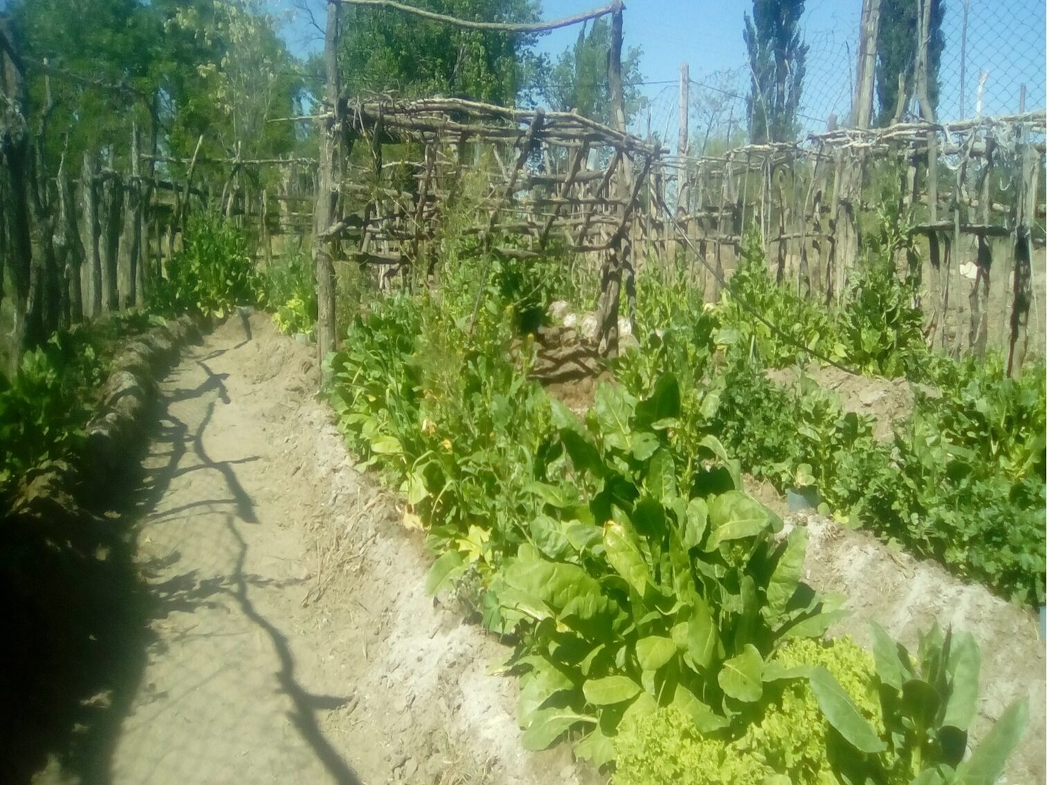 Campo en Venta 28 Hectareas Ideal Proyecto S. Rafael MZA