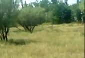 Campo en Venta 28 Hectareas Ideal Proyecto S. Rafael MZA