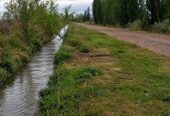 Campo en Venta 28 Hectareas Ideal Proyecto S. Rafael MZA