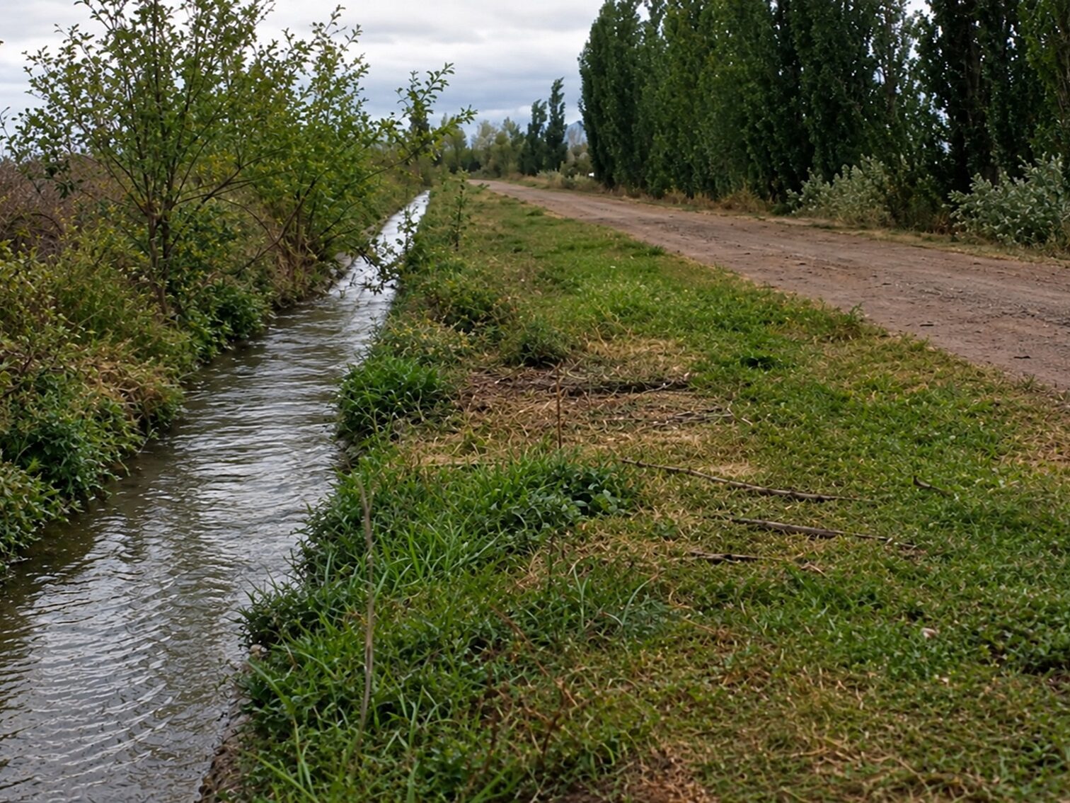 Campo en Venta 28 Hectareas Ideal Proyecto S. Rafael MZA