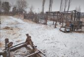 Campo en Venta 28 Hectareas Ideal Proyecto S. Rafael MZA