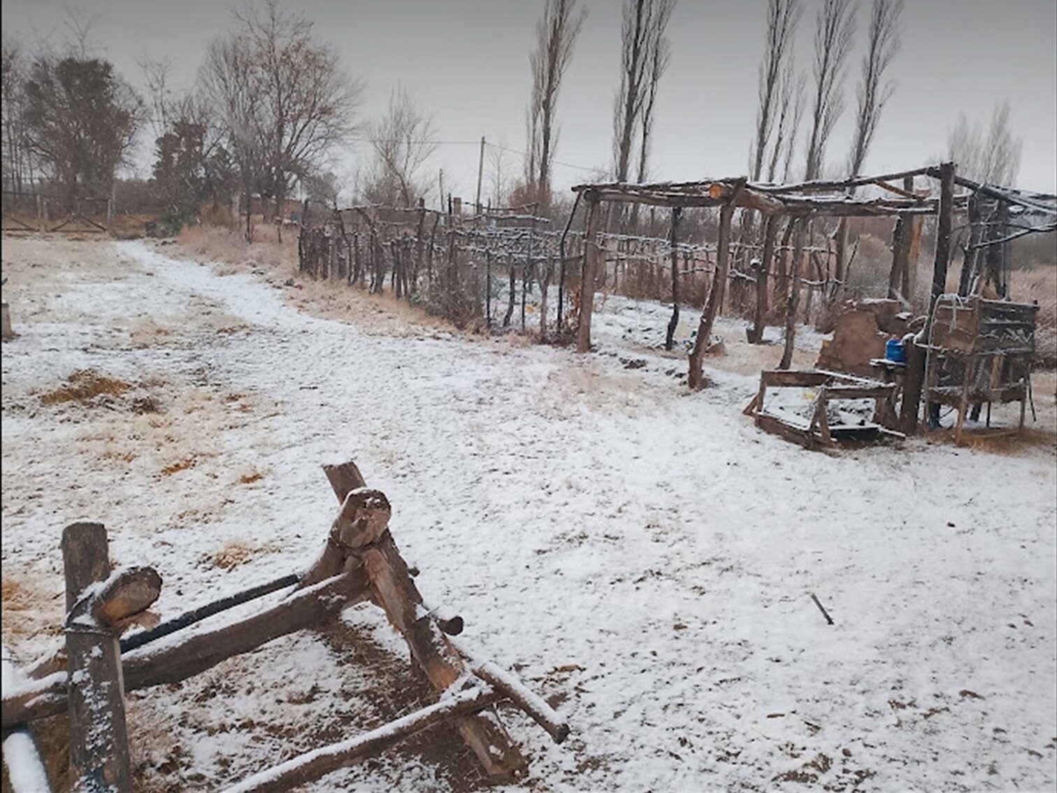 Campo en Venta 28 Hectareas Ideal Proyecto S. Rafael MZA