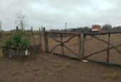Campo en Venta 28 Hectareas Ideal Proyecto S. Rafael MZA