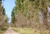 Campo en Venta 28 Hectareas Ideal Proyecto S. Rafael MZA