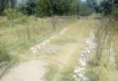 Campo en Venta 28 Hectareas Ideal Proyecto S. Rafael MZA