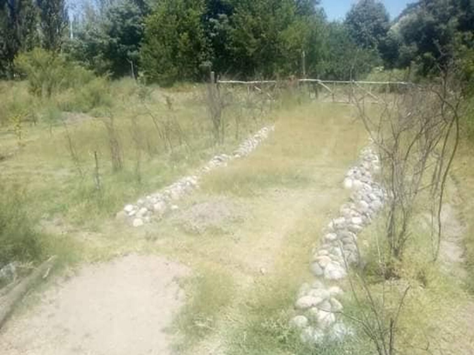 Campo en Venta 28 Hectareas Ideal Proyecto S. Rafael MZA