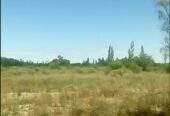 Campo en Venta 28 Hectareas Ideal Proyecto S. Rafael MZA