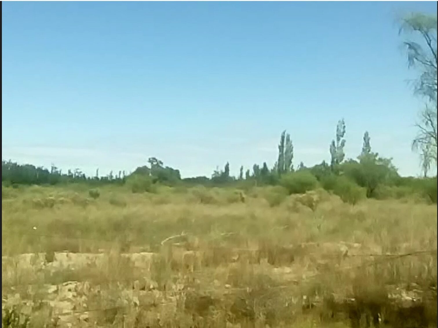 Campo en Venta 28 Hectareas Ideal Proyecto S. Rafael MZA