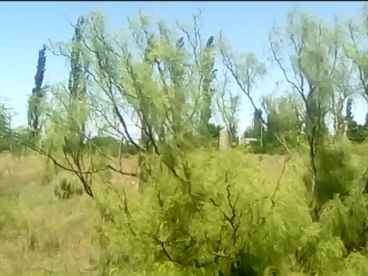 Campo en Venta 28 Hectareas Ideal Proyecto S. Rafael MZA