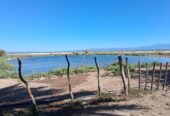 Campo Ganadero Pampas Blancas, en la Rioja, 11500 Has