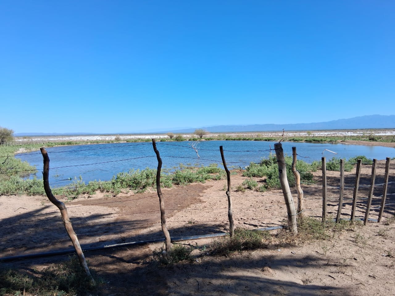 Campo Ganadero Pampas Blancas, en la Rioja, 11500 Has