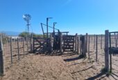 Campo Ganadero Pampas Blancas, en la Rioja, 11500 Has
