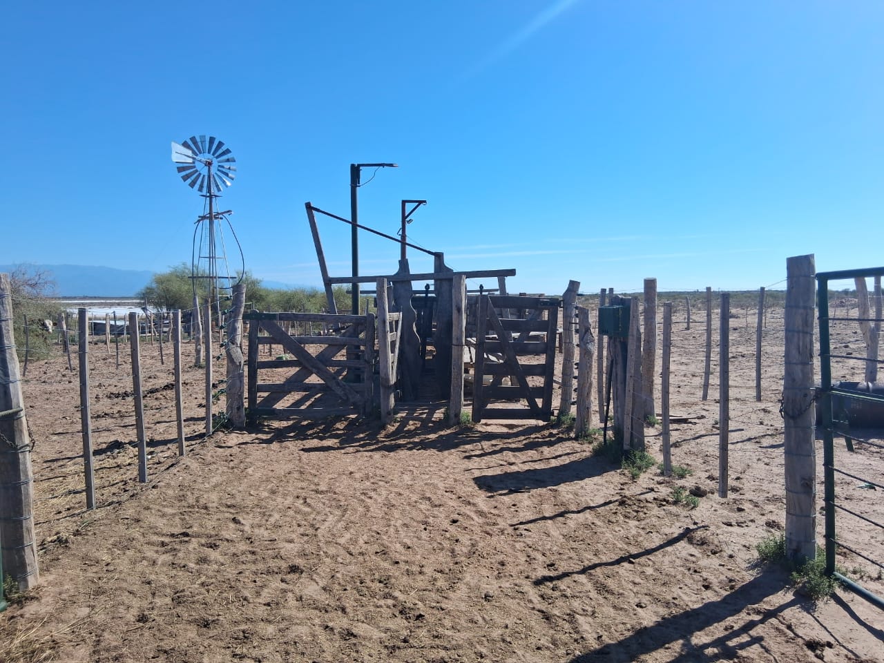 Campo Ganadero Pampas Blancas, en la Rioja, 11500 Has