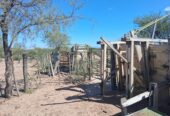 Campo Ganadero San Camilo, en la Rioja, 10493 Hectáreas