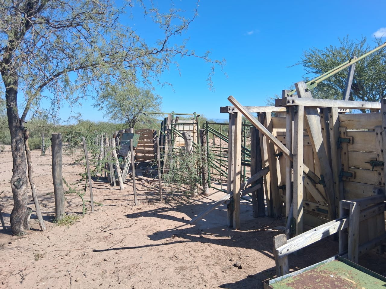 Campo Ganadero San Camilo, en la Rioja, 10493 Hectáreas