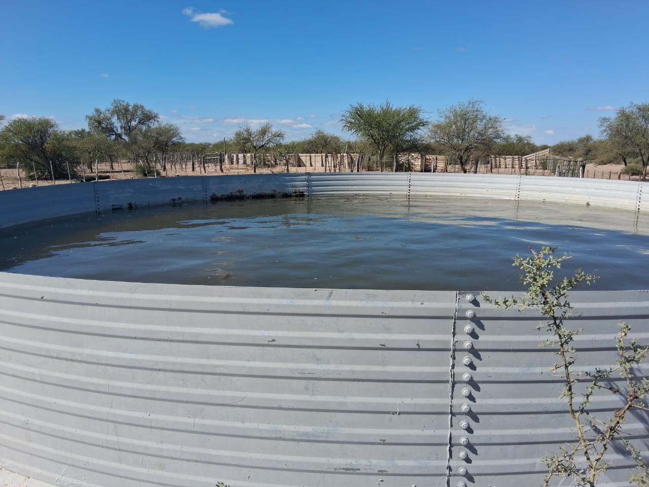 Campo Ganadero San Camilo, en la Rioja, 10493 Hectáreas