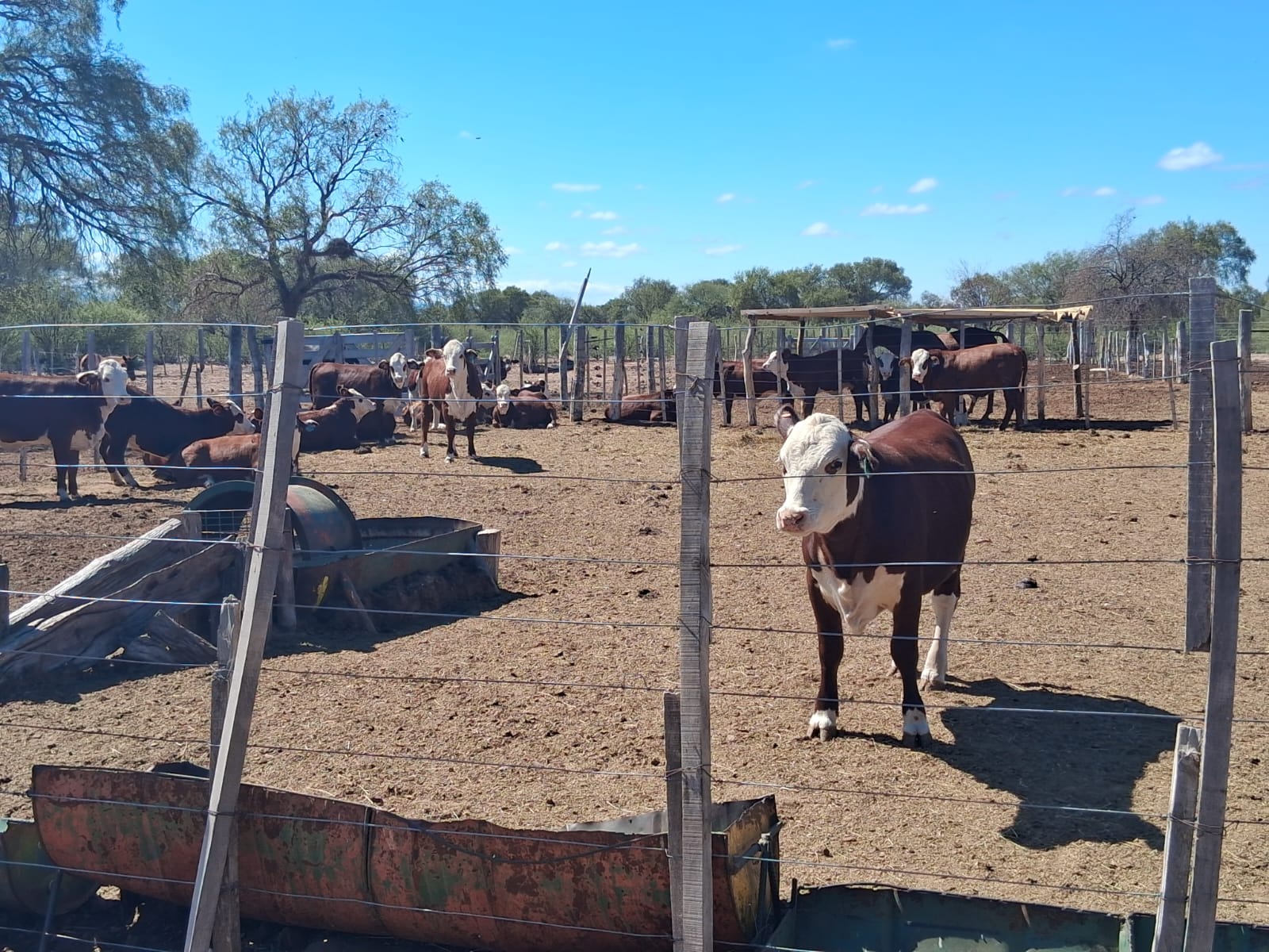 Campo Ganadero San Camilo, en la Rioja, 10493 Hectáreas