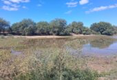 Campo Ganadero San Camilo, en la Rioja, 10493 Hectáreas
