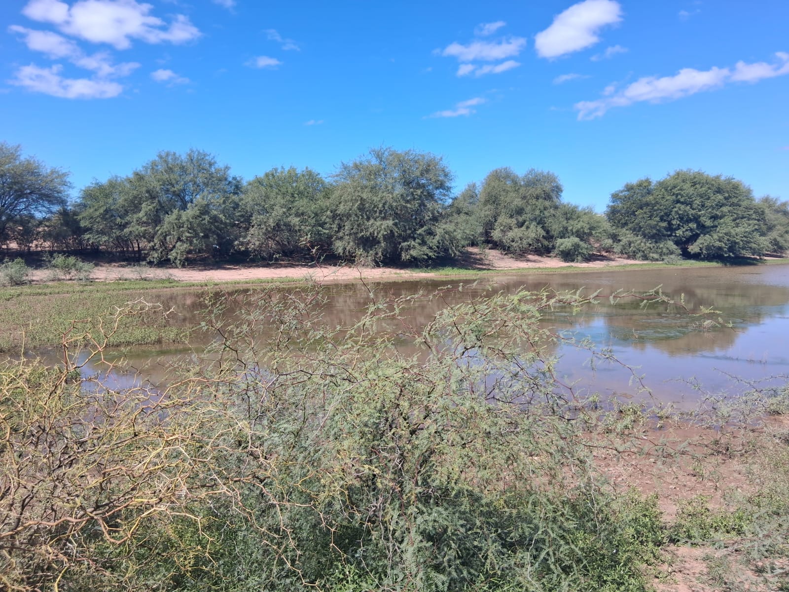 Campo Ganadero San Camilo, en la Rioja, 10493 Hectáreas