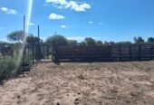 Campo Ganadero San Camilo, en la Rioja, 10493 Hectáreas