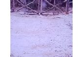 Campo en Venta 28 Hectareas Ideal Proyecto S. Rafael MZA