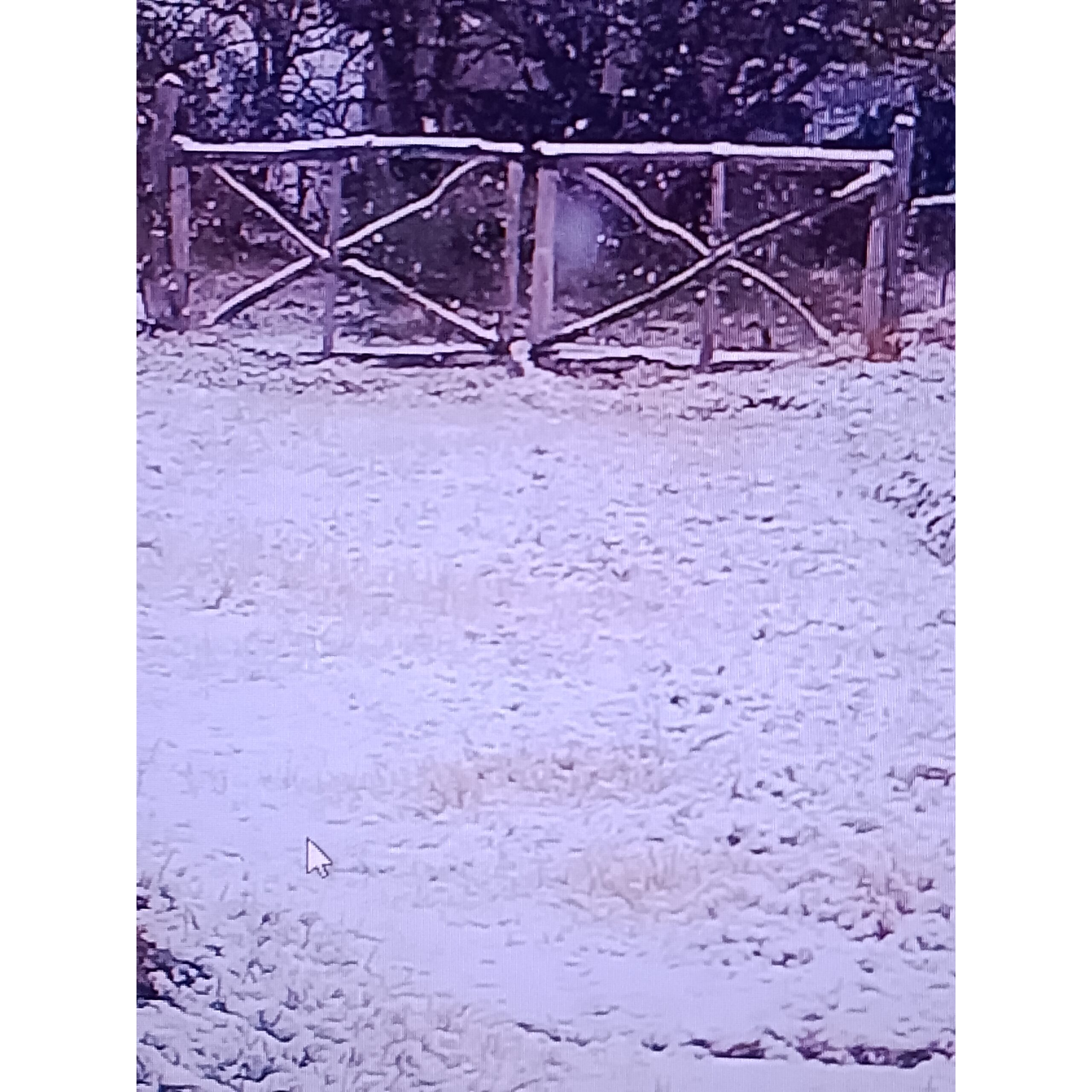 Campo en Venta 28 Hectareas Ideal Proyecto S. Rafael MZA