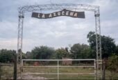 Venta Campo 60 Has con acceso directo a Río de Oro en Venta en Dep. Bermejo, Chaco Ganadero
