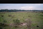 Venta Campo 60 Has con acceso directo a Río de Oro en Venta en Dep. Bermejo, Chaco Ganadero