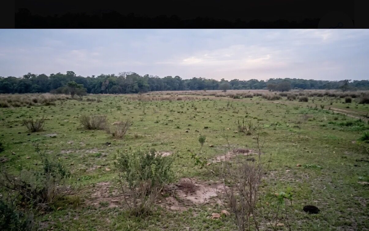 Venta Campo 60 Has con acceso directo a Río de Oro en Venta en Dep. Bermejo, Chaco Ganadero