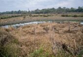 Venta Campo 60 Has con acceso directo a Río de Oro en Venta en Dep. Bermejo, Chaco Ganadero