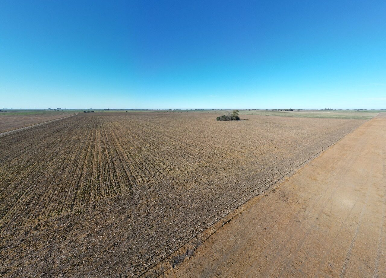 23 has agrícolas El Socorro- Pergamino