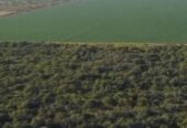 CAMPO AGRICOLA VILLA MINETTI (SANTA FE)