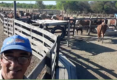 VENTA CAMPO GANADERO 1.470 HA – ESTANCIA LA ESTELA – CHACO, ARGENTINA