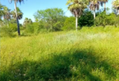 VENTA CAMPO GANADERO 1.470 HA – ESTANCIA LA ESTELA – CHACO, ARGENTINA