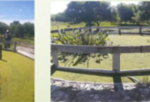 VENTA CAMPO GANADERO 1.470 HA – ESTANCIA LA ESTELA – CHACO, ARGENTINA