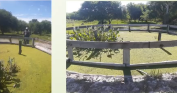 VENTA CAMPO GANADERO 1.470 HA – ESTANCIA LA ESTELA – CHACO, ARGENTINA
