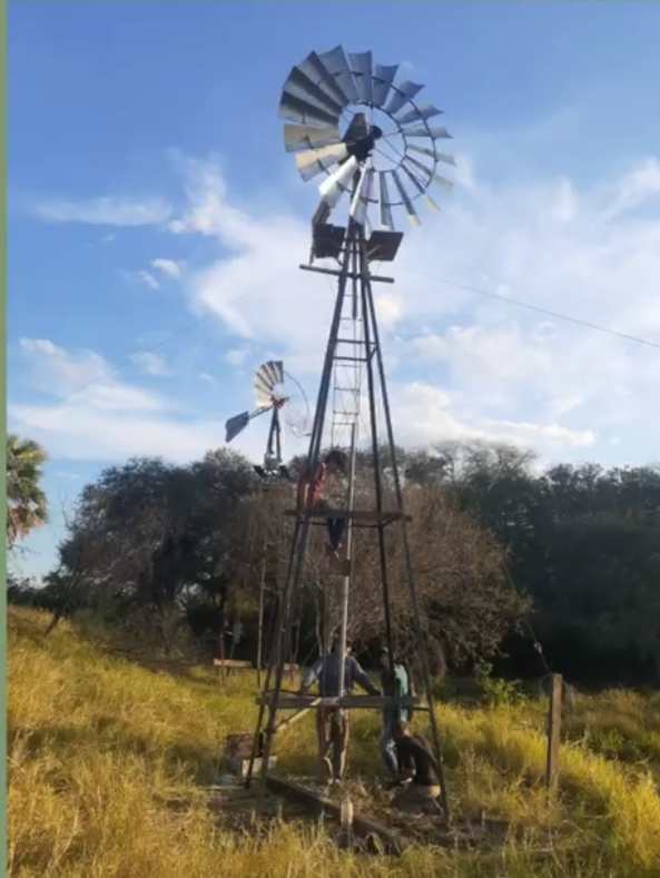 VENTA CAMPO GANADERO 1.470 HA – ESTANCIA LA ESTELA – CHACO, ARGENTINA